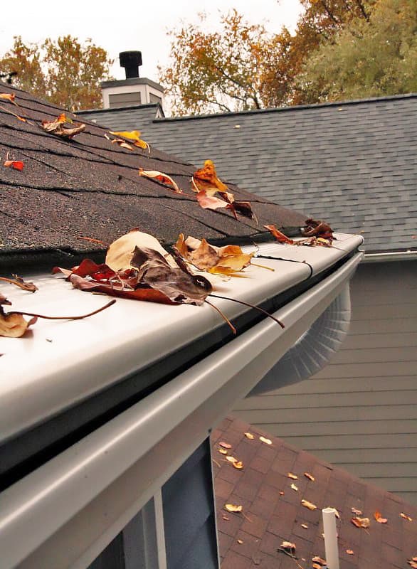 Are Gutter Screens Worth It?