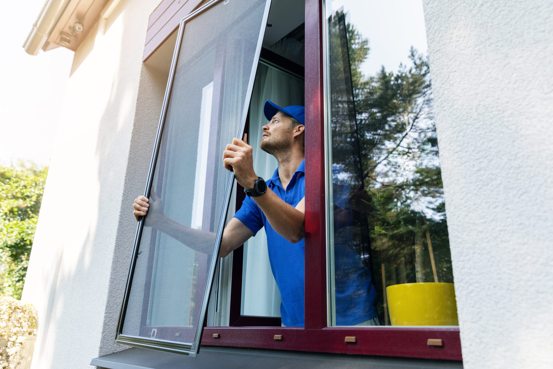 Should Window Screens Be Removed in The Winter?