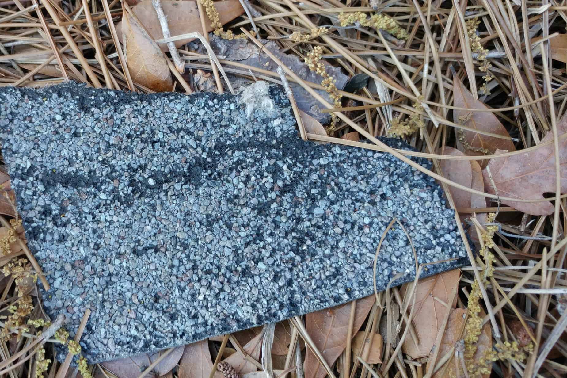 roof shingle