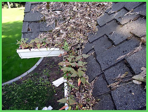 Gutter clogged with leaves