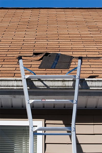 Missing shingles with ladder leaning on roof