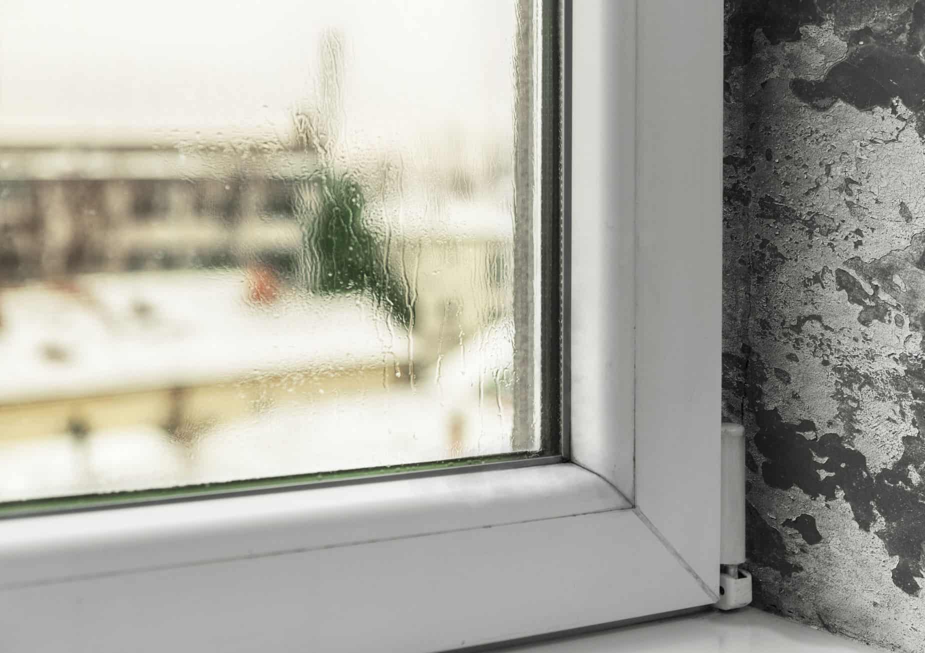 Five Things Your Windows Are Trying to Tell You