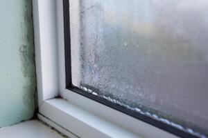house window condensation