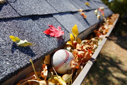 Autumn Home Maintenance