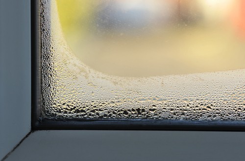 Window Condensation