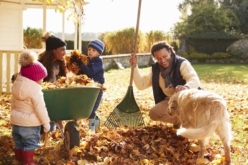 Family Raking Leaves