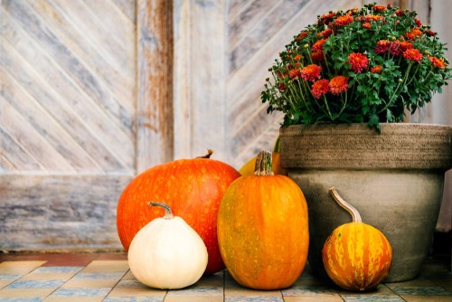 Front Porch Pumpkins