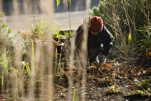 Gardener tending garden
