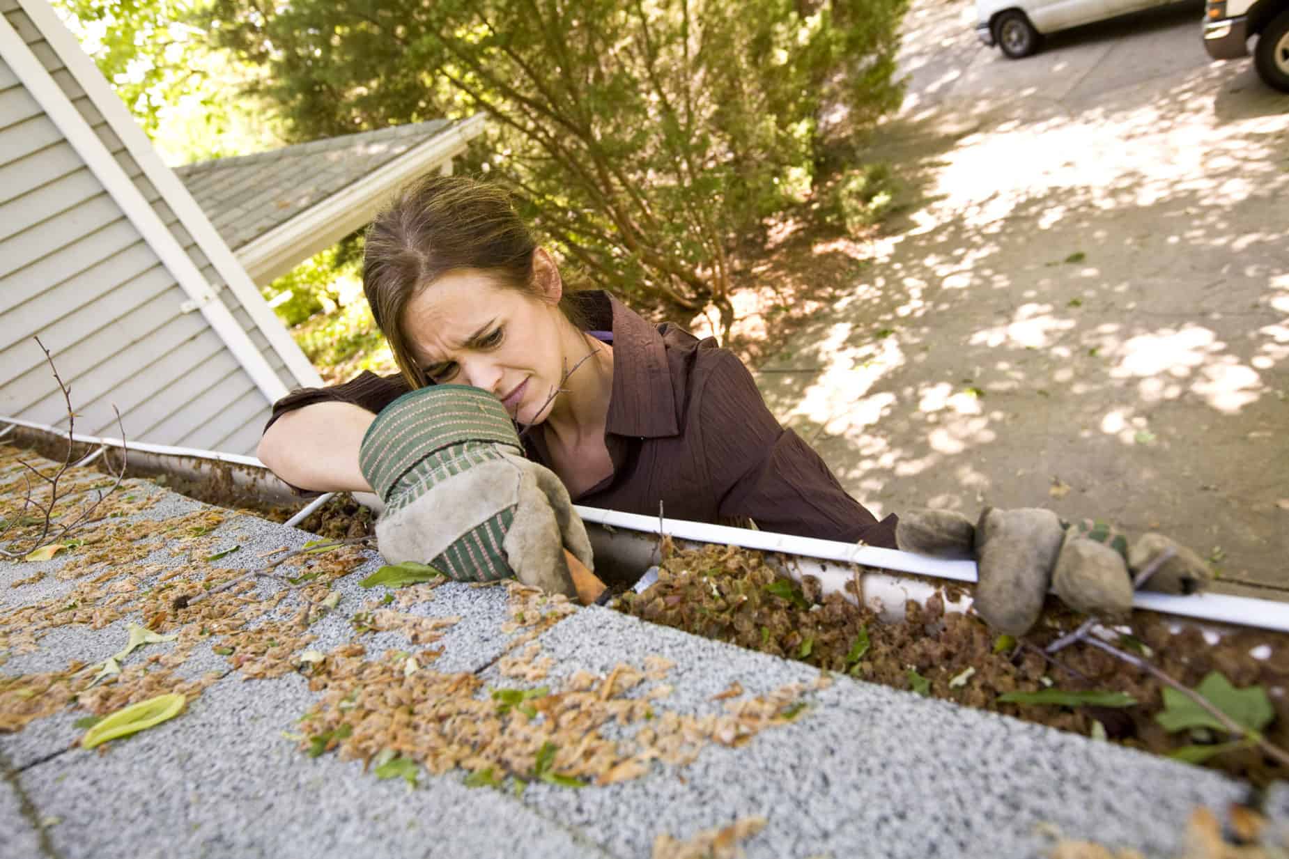 When to Clean Your Gutters