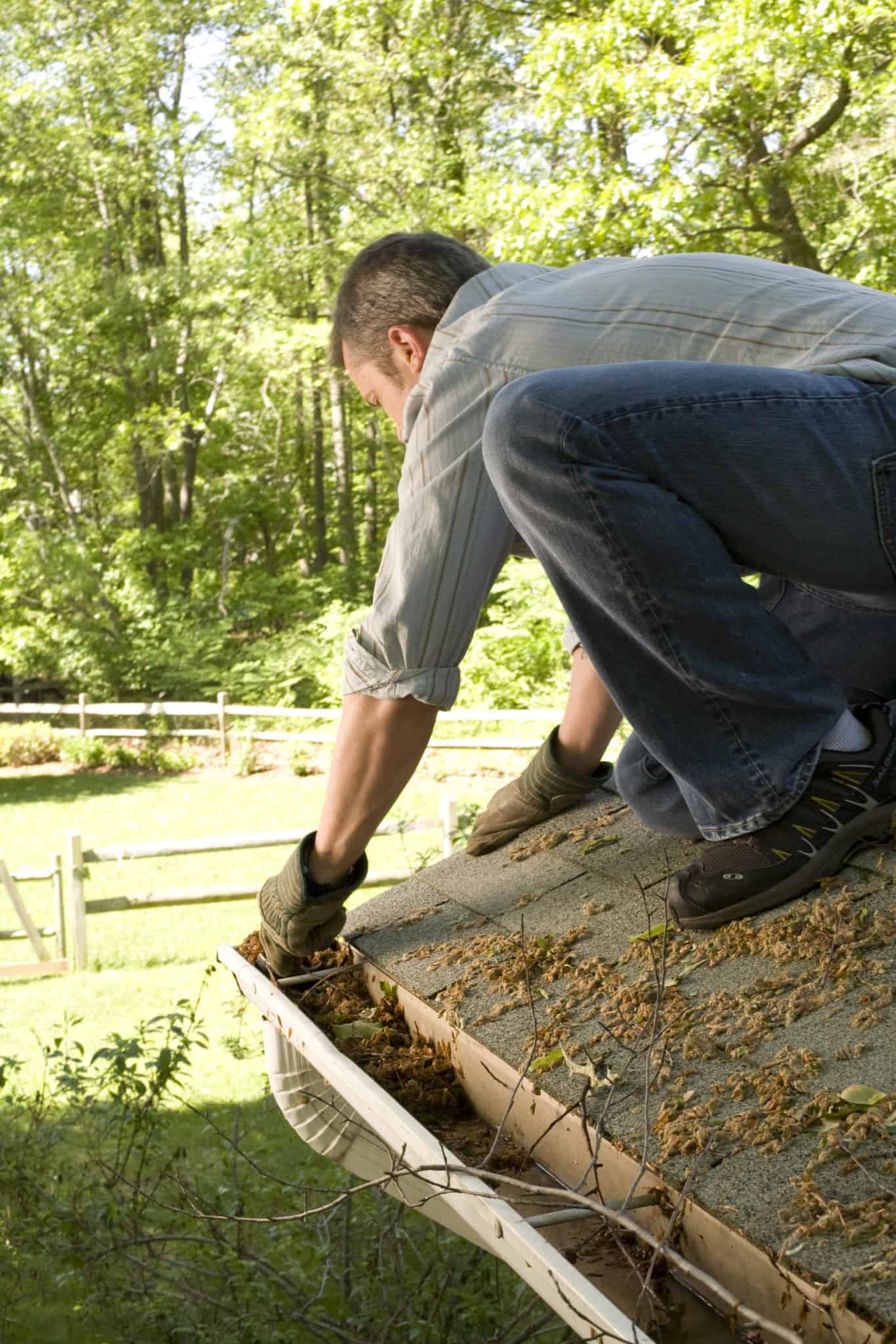 When Should You Clean Your Gutters?