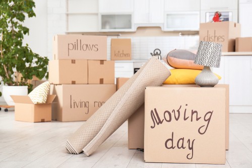 Moving Day Boxes