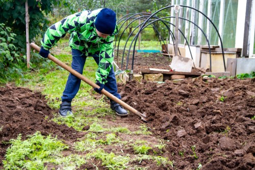 6 Fall Gardening Tips to Ensure Your Garden Is Prepped for Spring