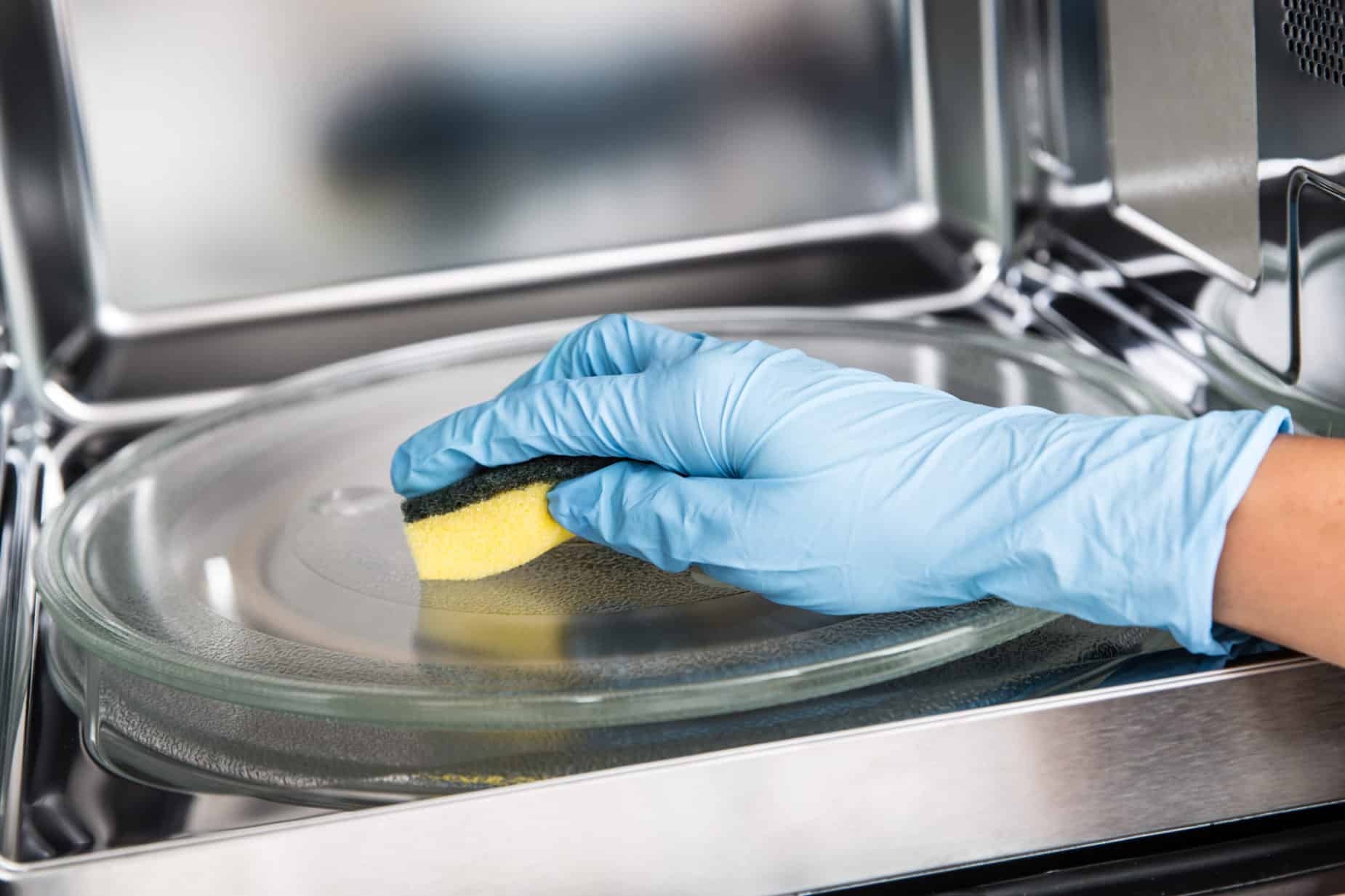 sponge in microwave