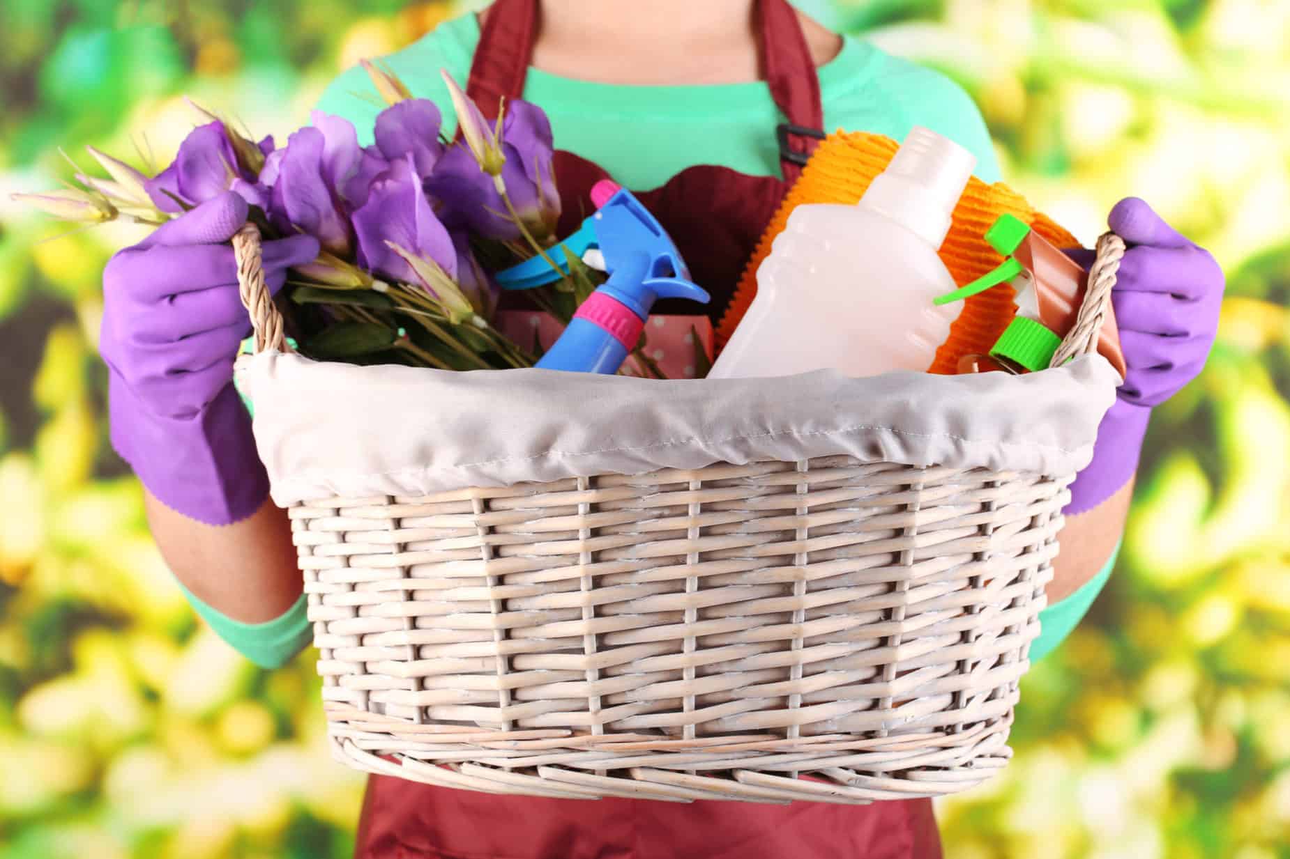 Spring Cleaning