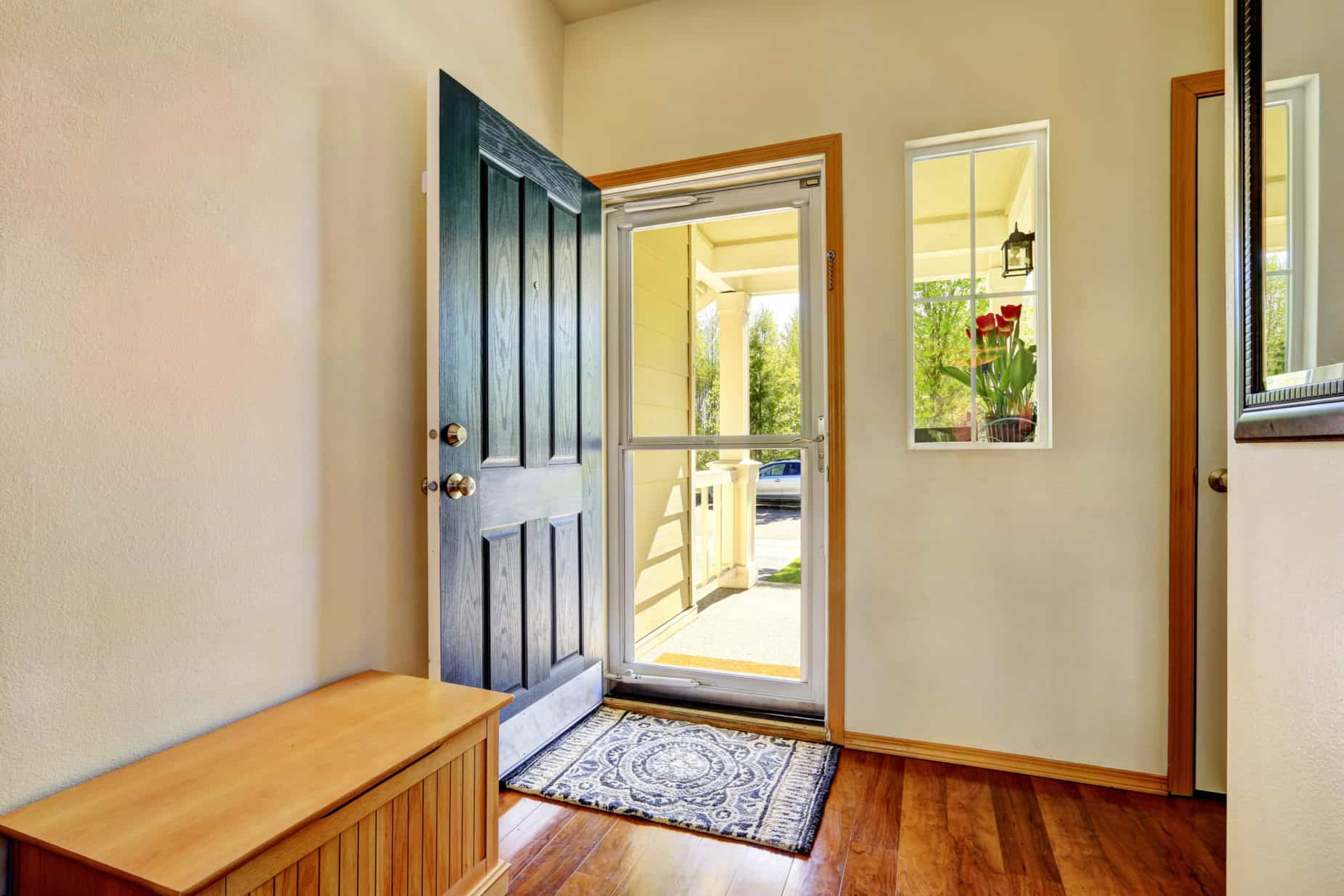 Storm Door