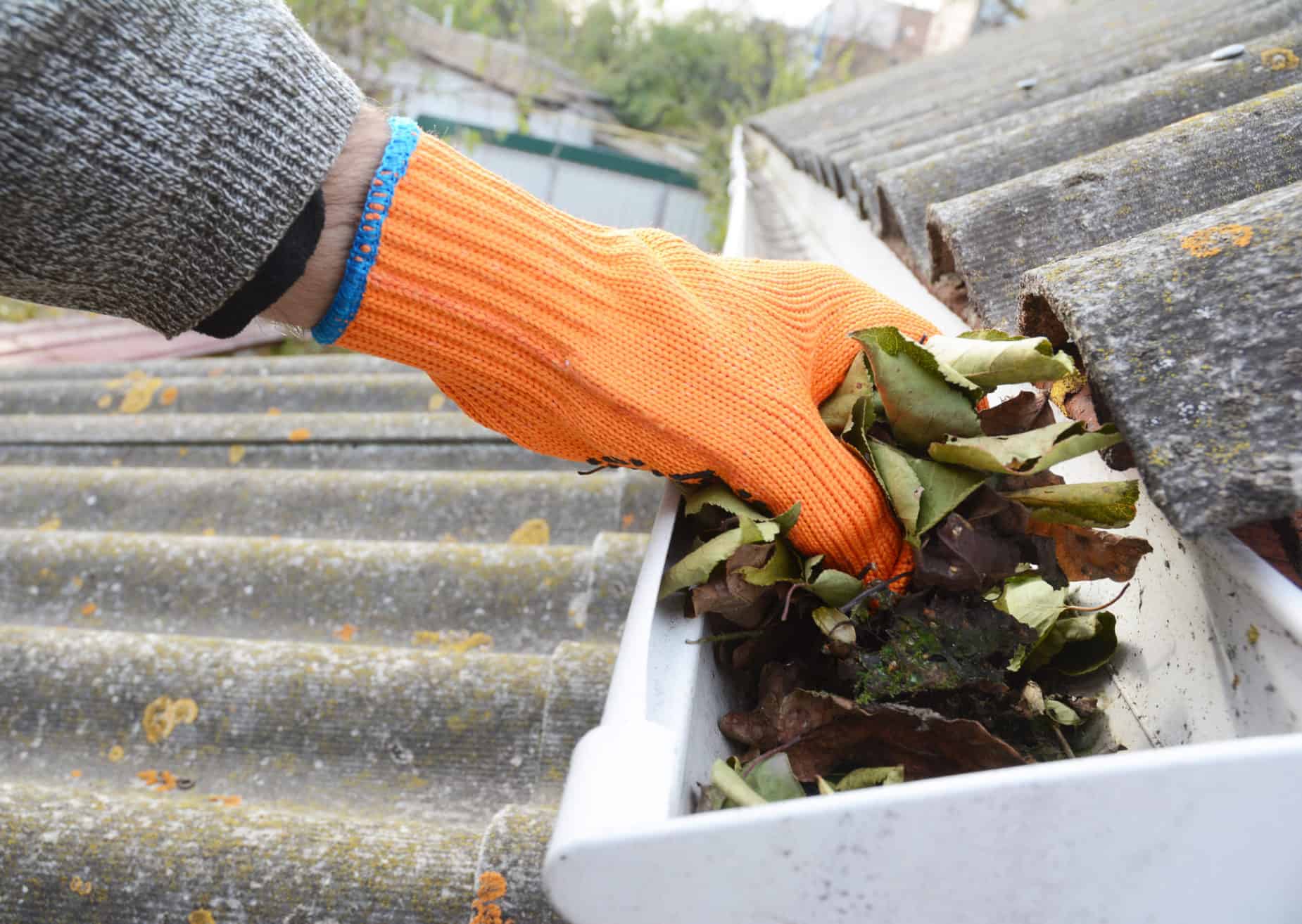 Spring Gutter Cleaning