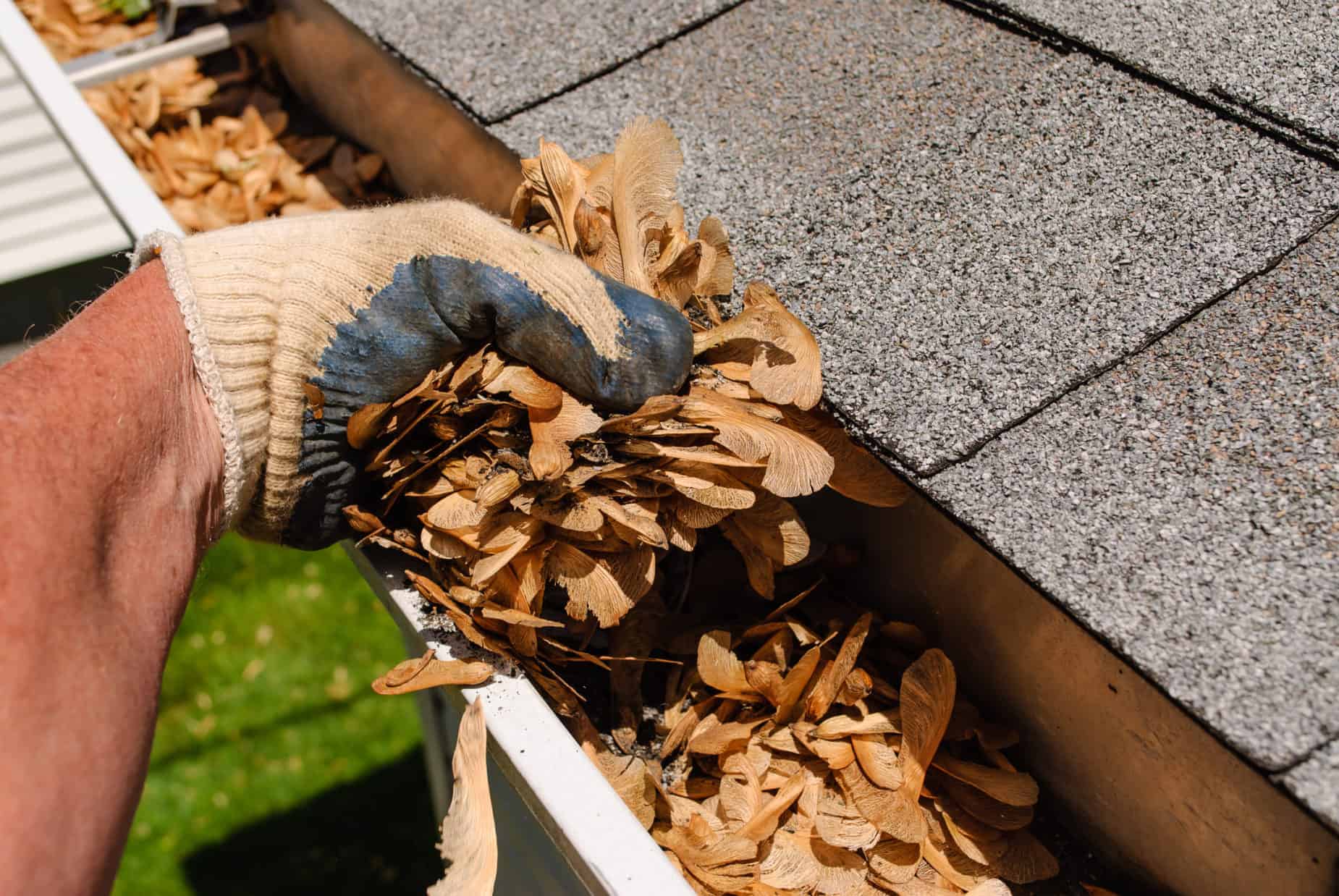 Cleaning Gutter