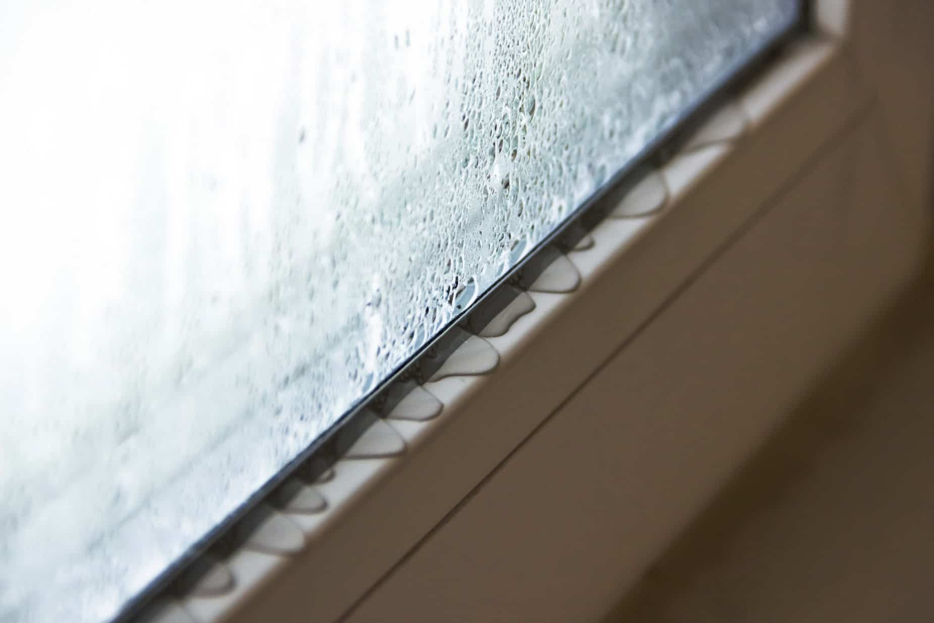 Condensation On Window