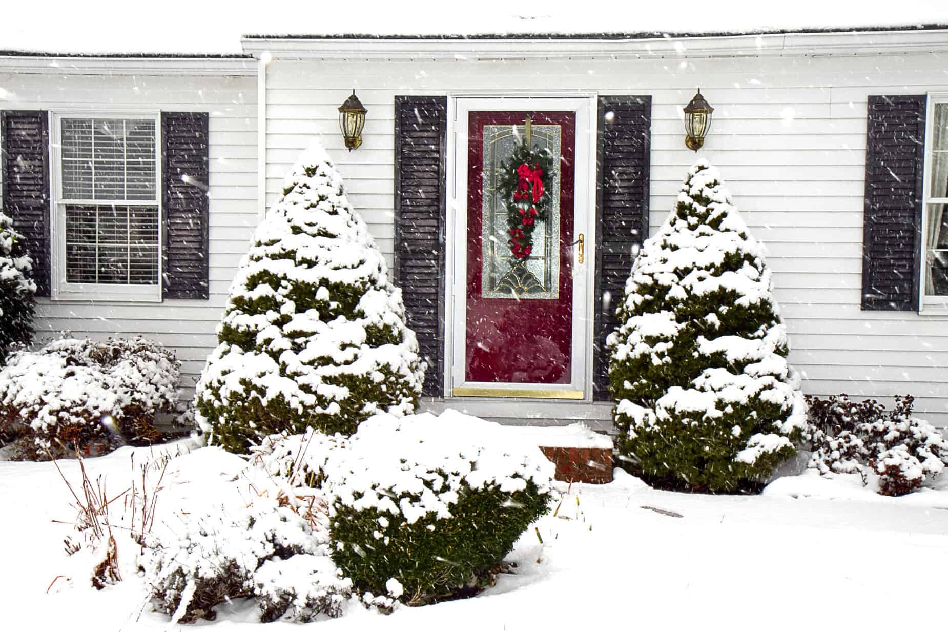 Weatherproof Door