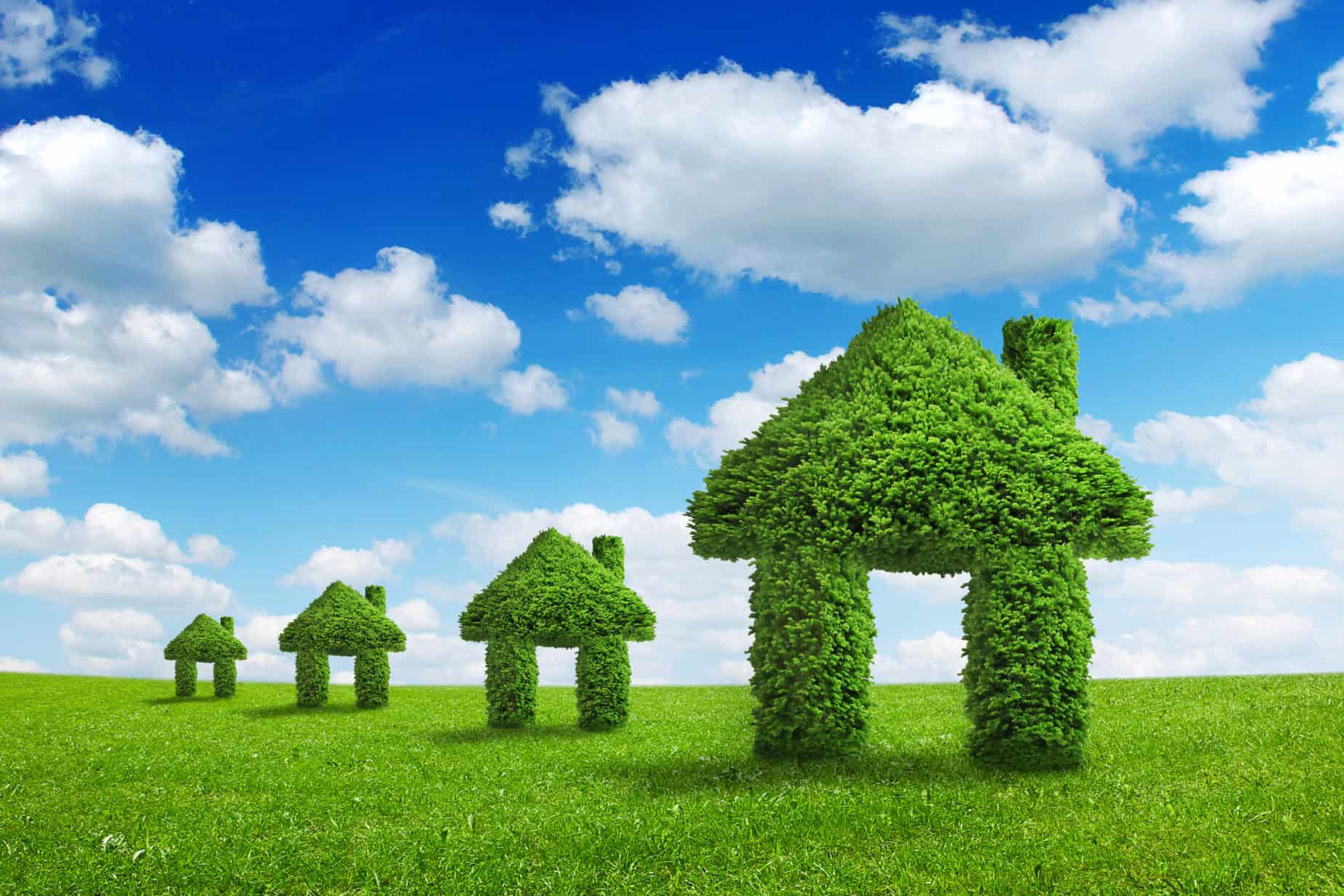eco green grass houses in sky background