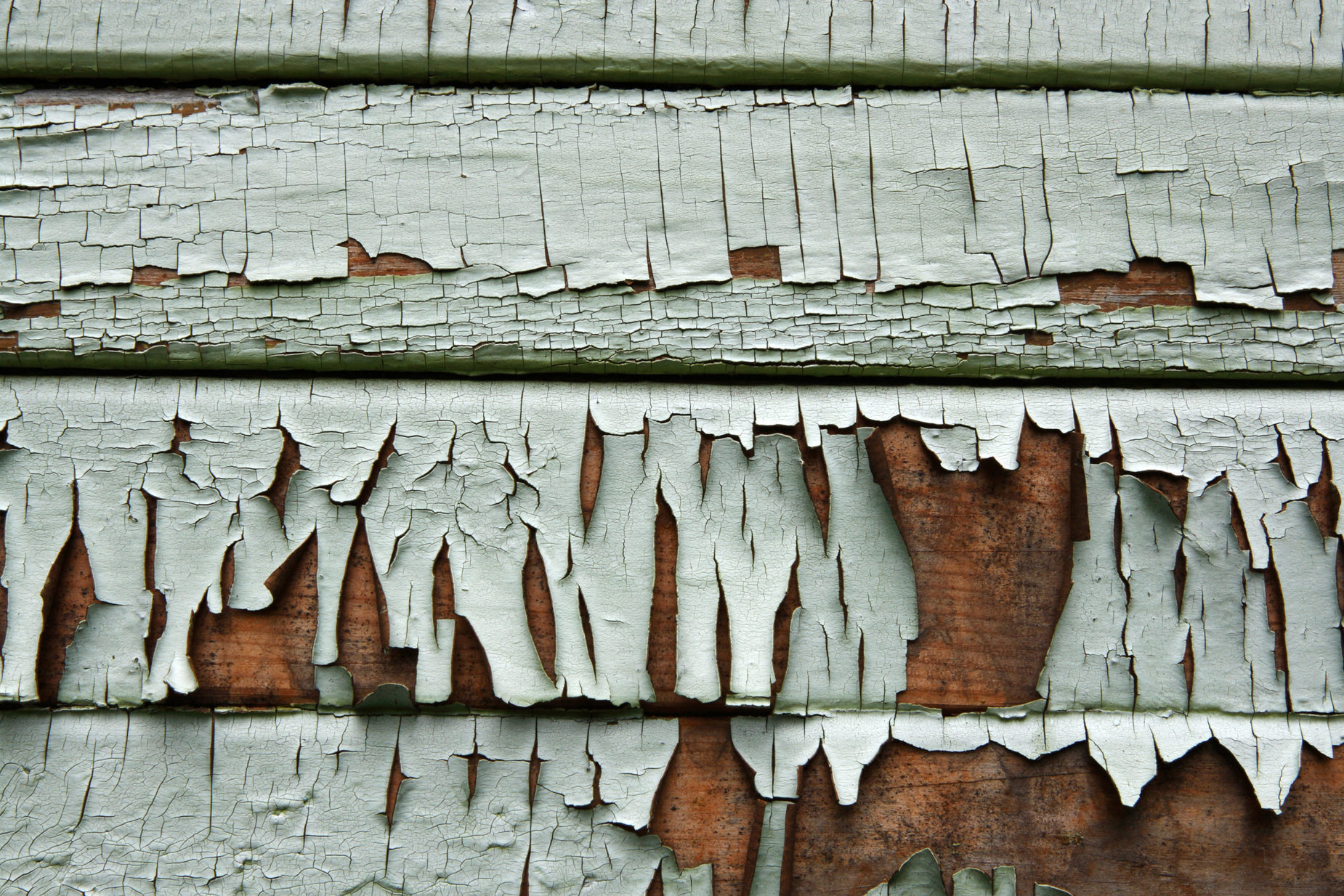 Is It Time for a Siding Update?