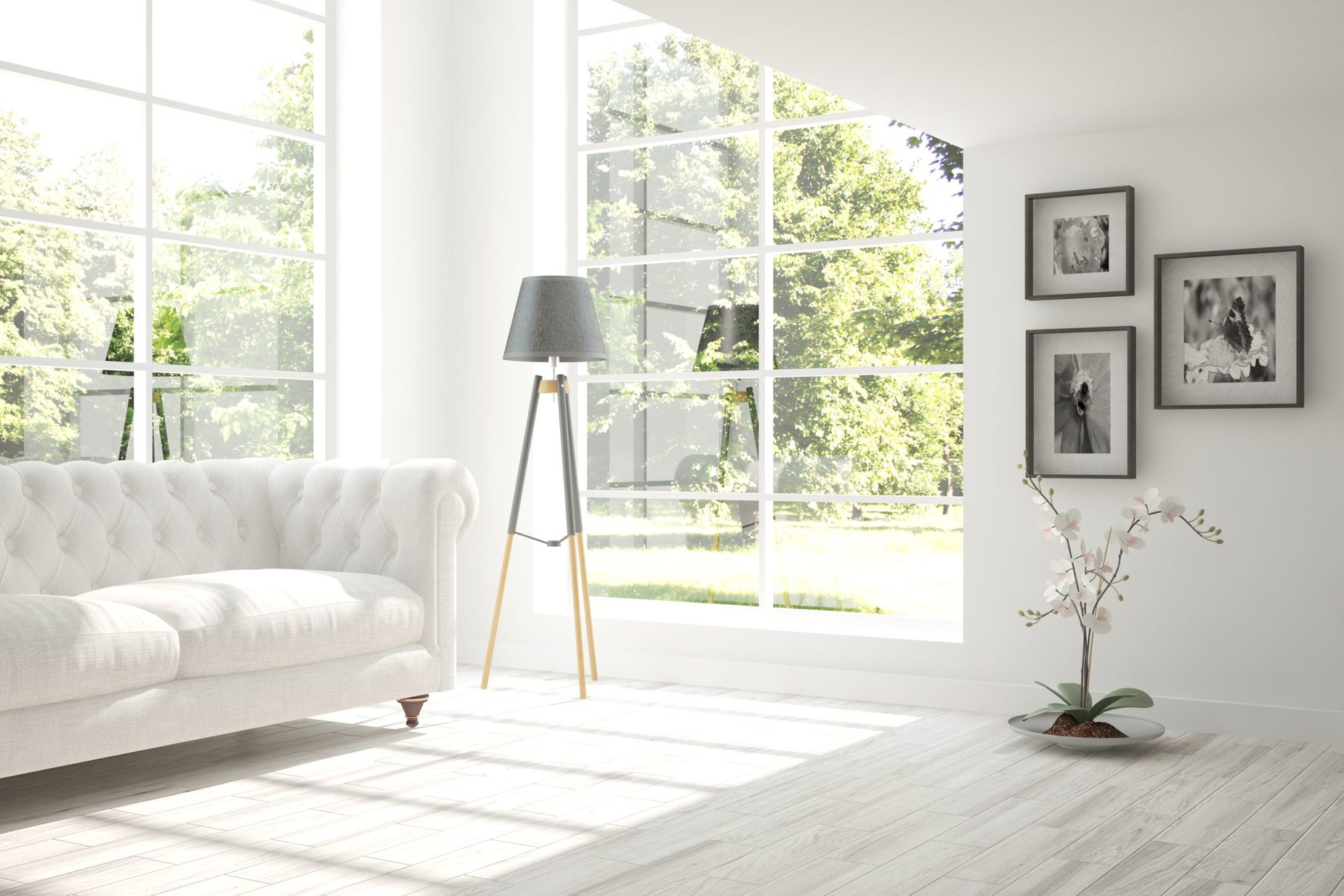 Living room Windows for Your Home