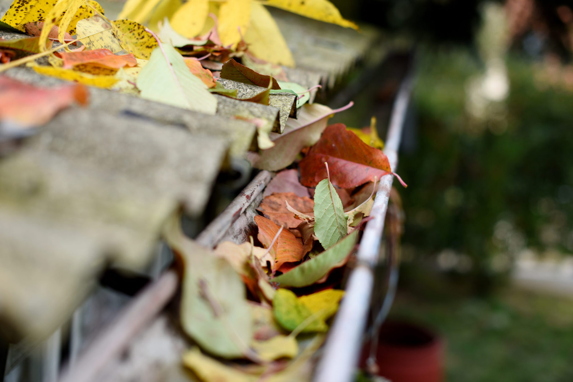 blocked gutter