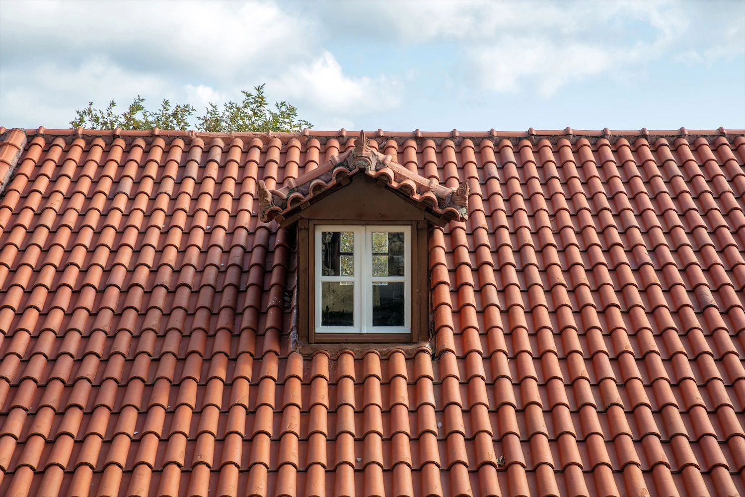 Attic and Dormer Window Types