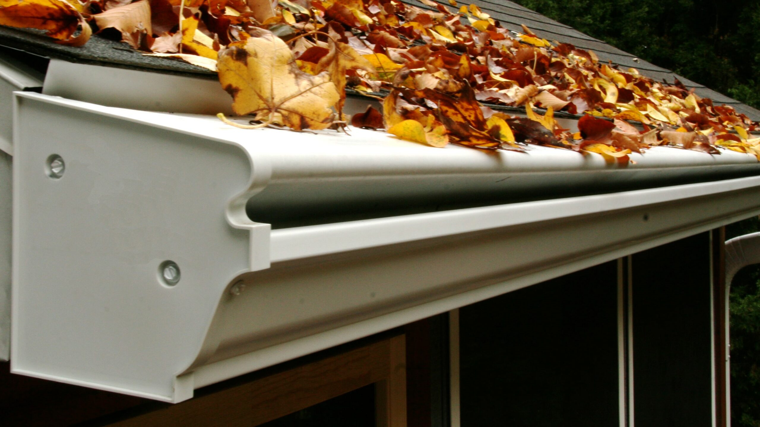 The Untold Benefits Of Leaf Removal In Glen Allen, VA