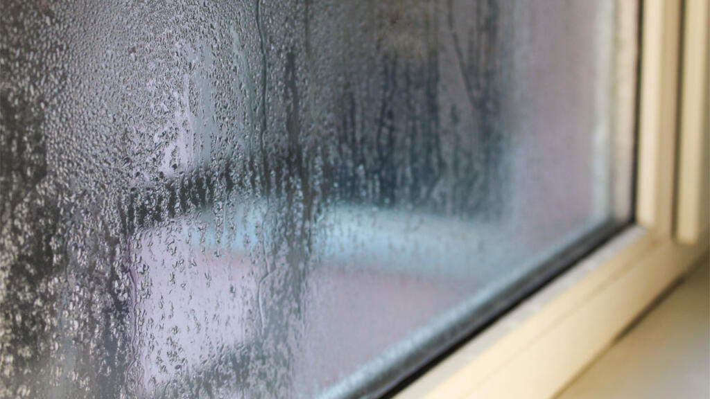 window replacement